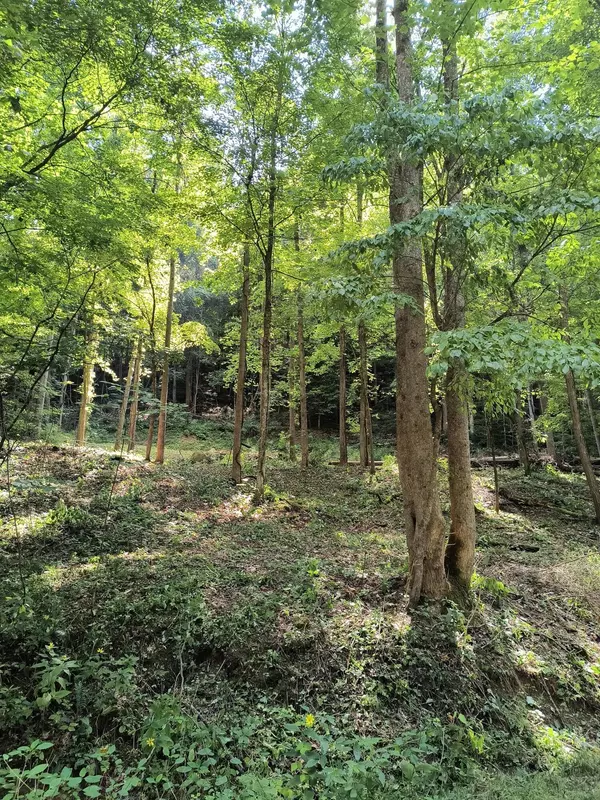 Stanton, KY 40380,0 Birch Hollow Road ##10 Phase 2