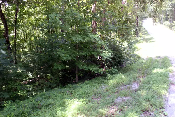 Monticello, KY 42633,Lot 80 Sandstone Point