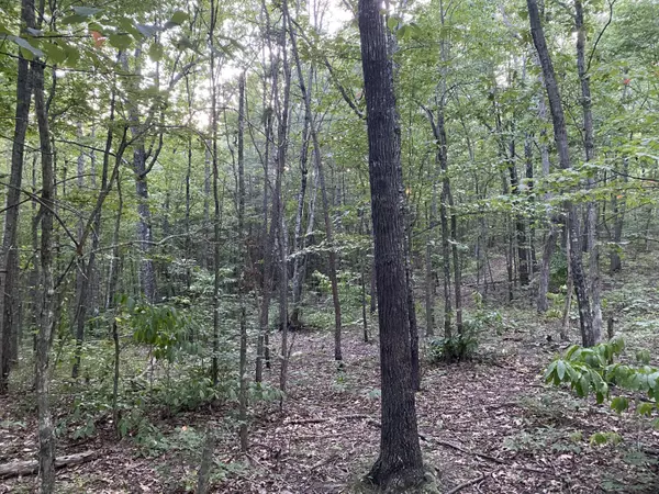 Williamsburg, KY 40769,0 Red Bird Road