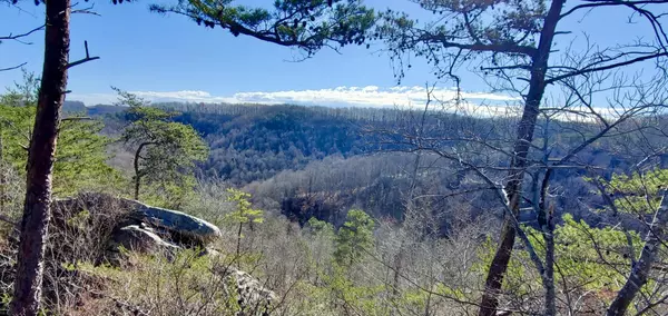 Stearns, KY 42647,721 Parcel A Skull Bone Tower Road