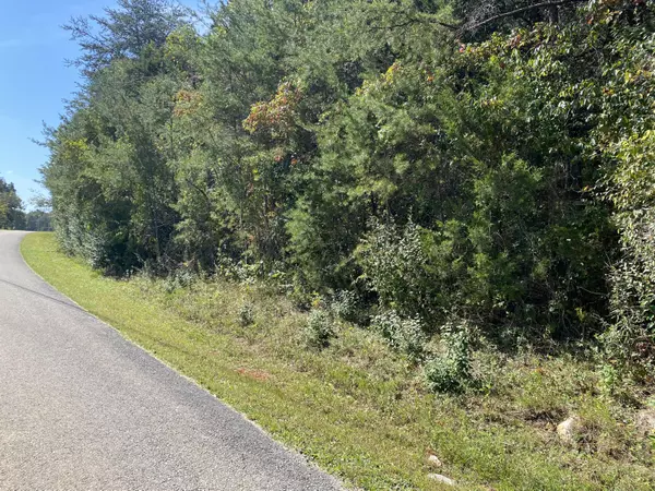 Bronston, KY 42518,20A Lake Forest Reserve Drive