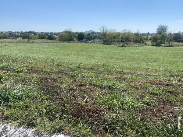 Berea, KY 40403,316 Fazio Drive