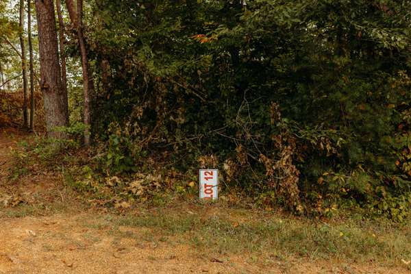 TBD Lot 12 Sandy Ridge Road, Campton, KY 41301