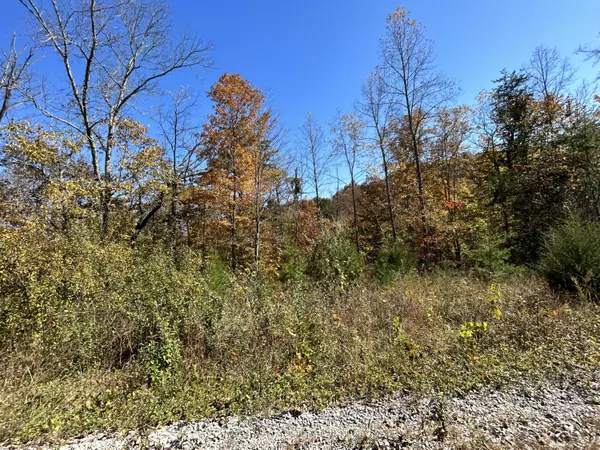 Somerset, KY 42501,Lot #4 Buck Creek Circle