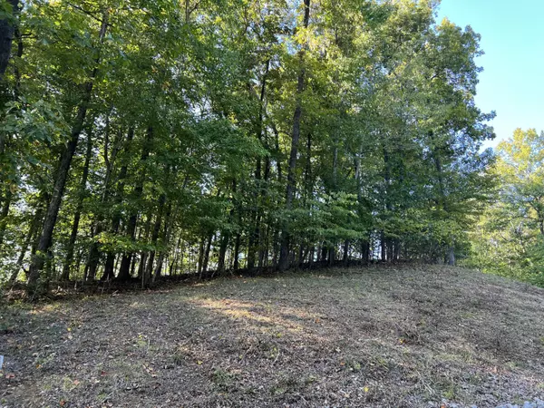 Albany, KY 42602,Lot 48 Crescent Ridge