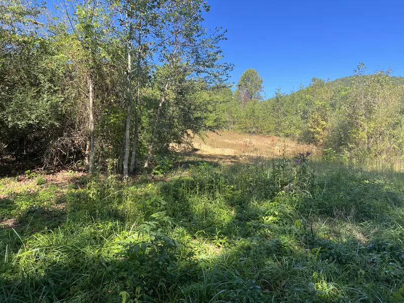 1111 Shelby Hurst Rd, Williamsburg, KY 40769