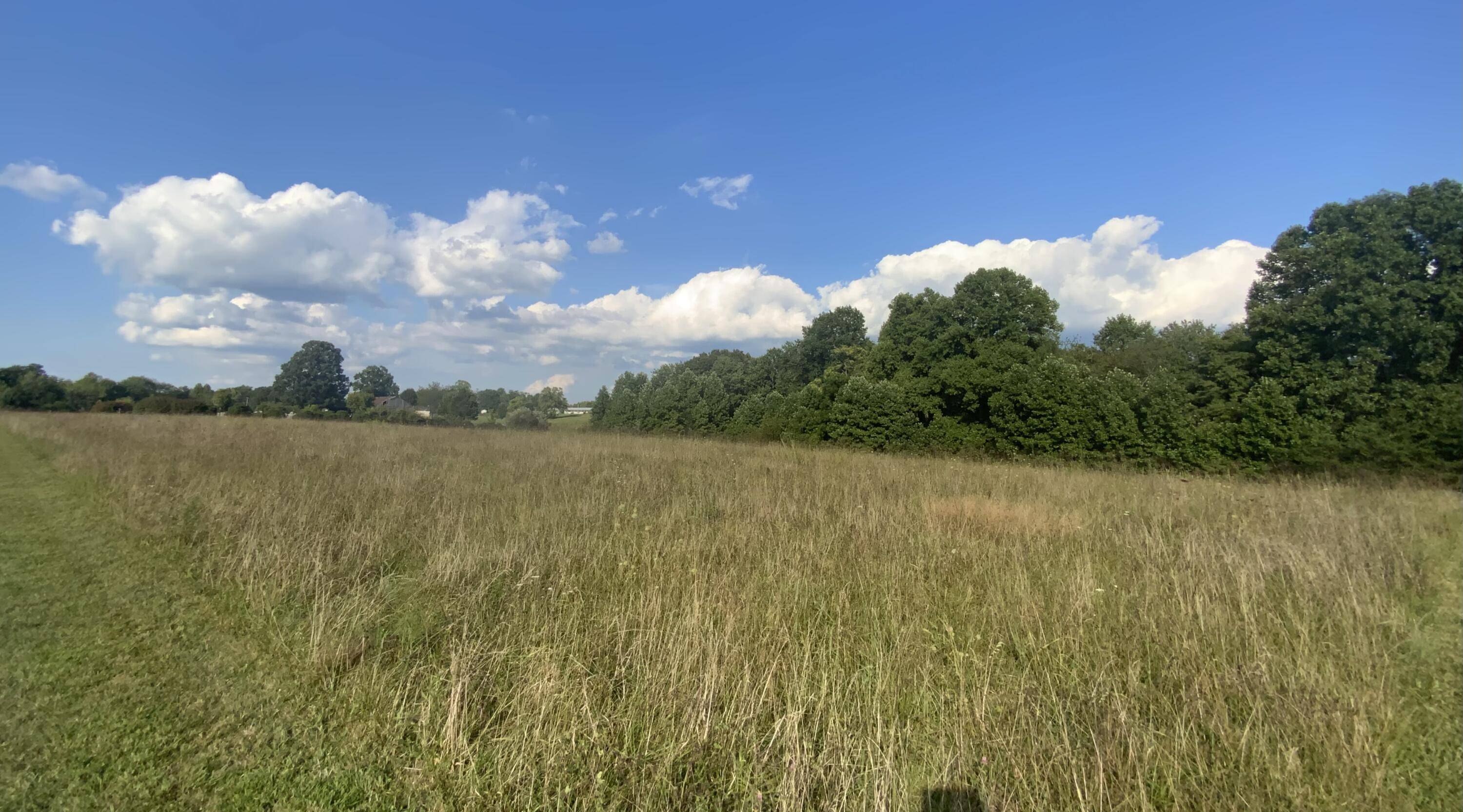 Lot #9 Pleasant Ridge Subdivision Drive, Strunk, KY 42649