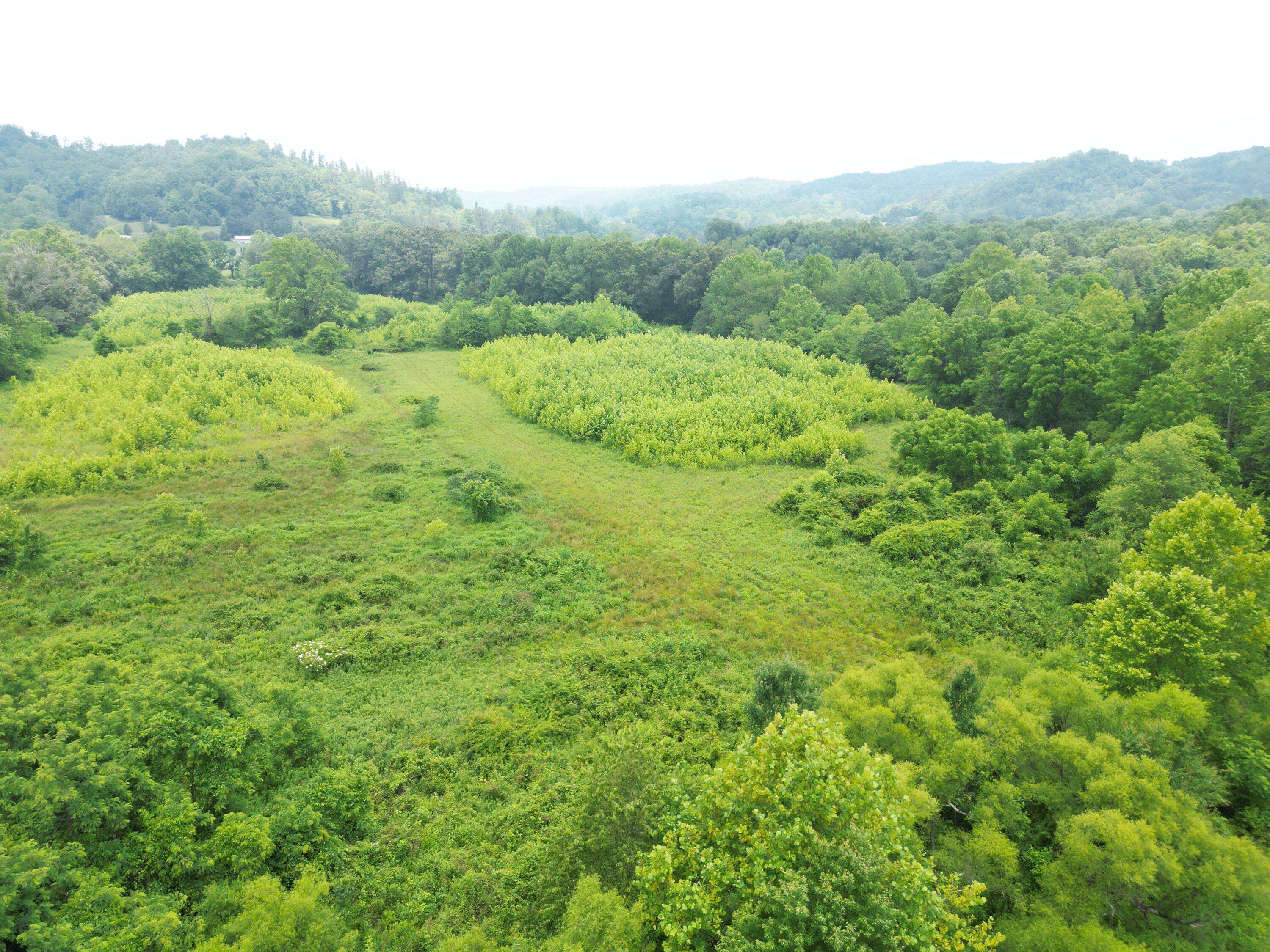 9991 Ben House Road, Manchester, KY 40962