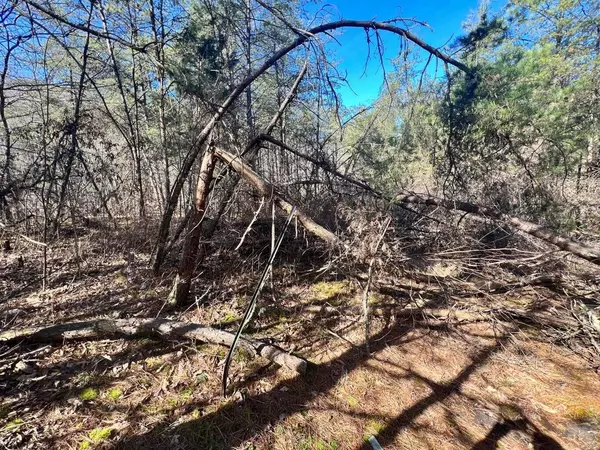 East Bernstadt, KY 40729,9999 Ray Johnson Road