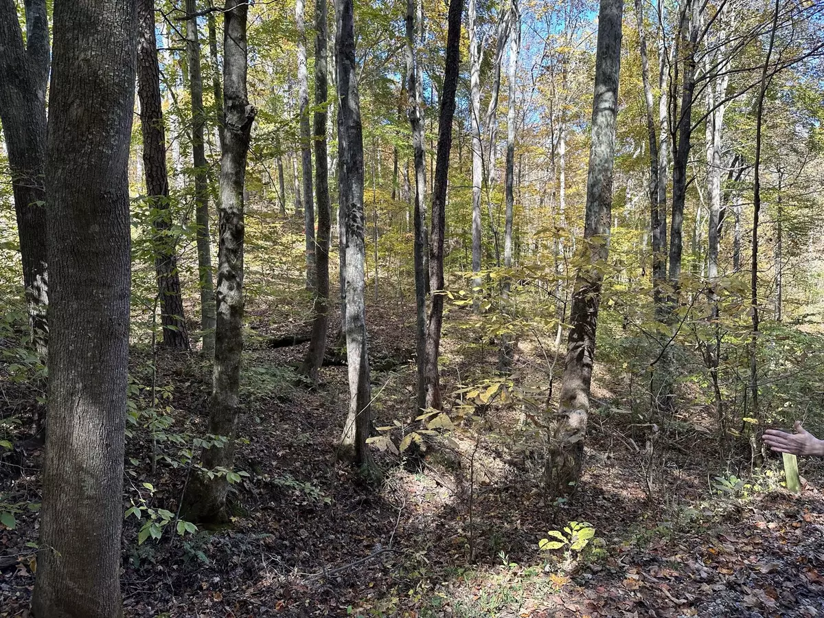 Bronston, KY 42518,000 Cannon Hollow Road