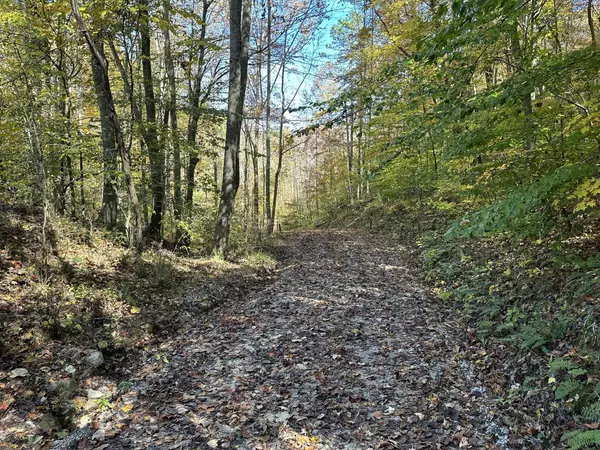 Bronston, KY 42518,000 Cannon Hollow Road