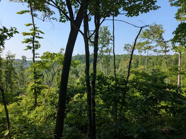 Mt Vernon, KY 40456,0 New Hope Tower Road