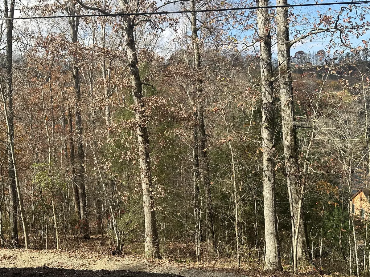 London, KY 40741,Lot 10 Laurel Cove Road