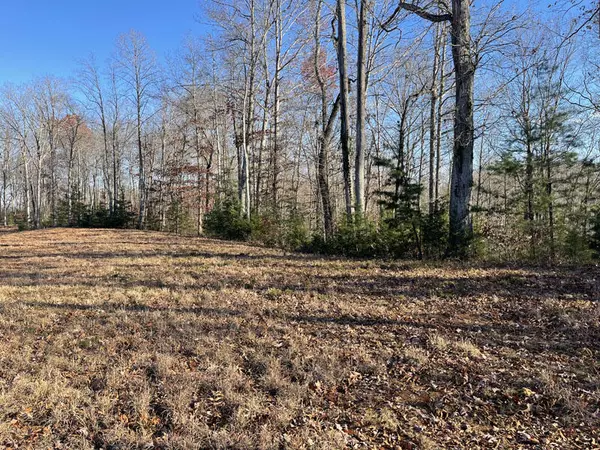 Monticello, KY 42633,Lot 131A&B Cumberland Shores