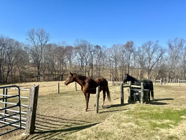 Nancy, KY 42544,575 Piney Woods Road