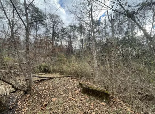 Irvine, KY 40336,9999 John Rawlings Road