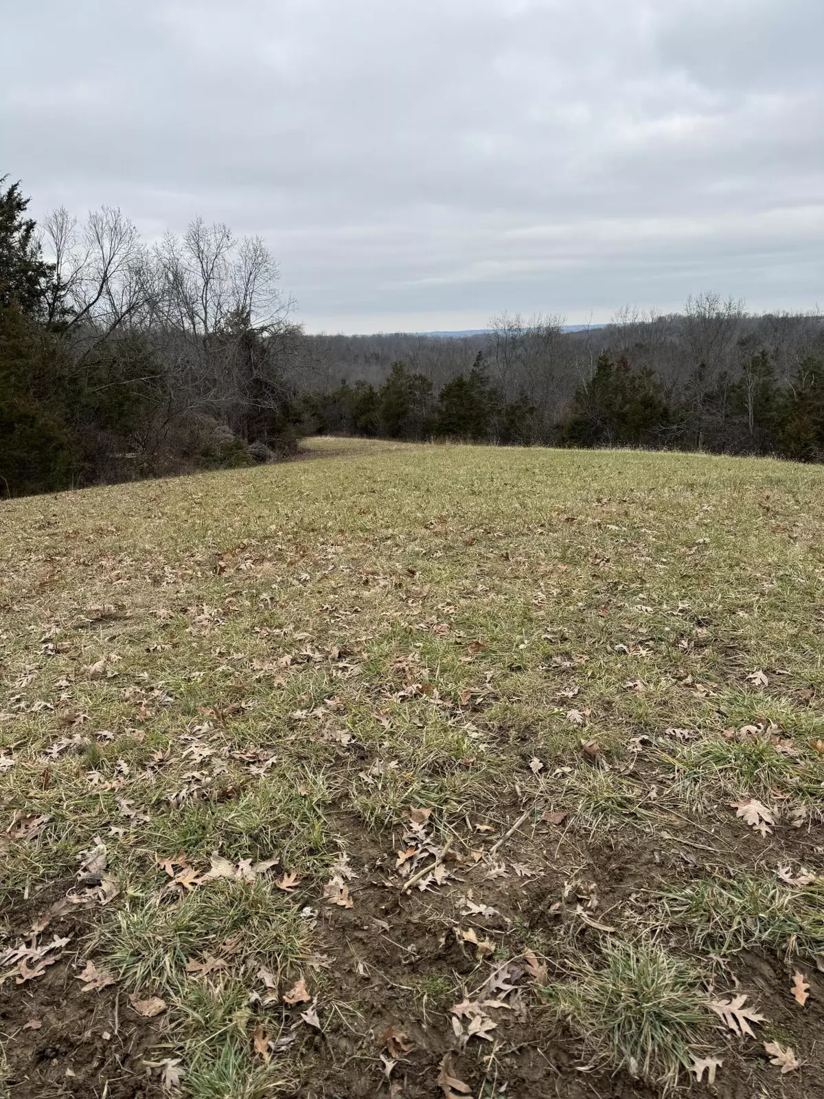 Carlisle, KY 40311,3426 Crooked Creek Road