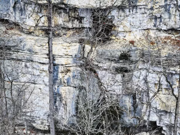 Irvine, KY 40336,11907 Old Landing Road