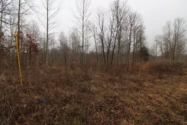 Lot Eagle Crest Drive, Nancy, KY 42544