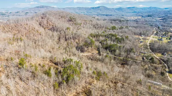 Williamsburg, KY 40769,554 Sukey Hollow Road