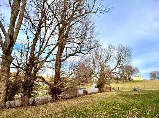 LOT 104 Kennedy Bridge Road, Lancaster, KY 40444