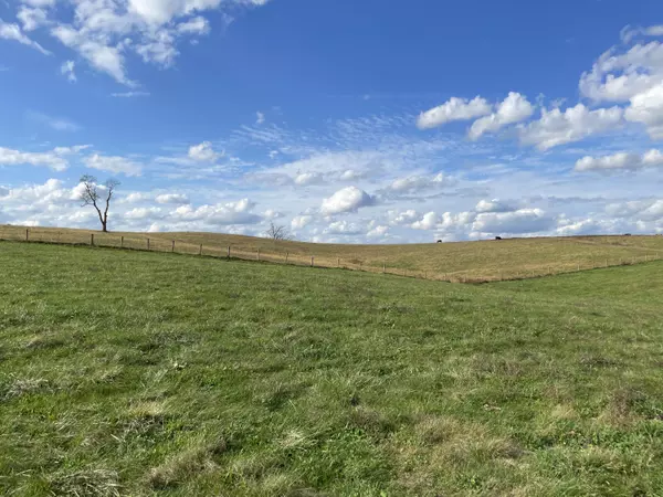 Cynthiana, KY 41031,251 Finnell Pike