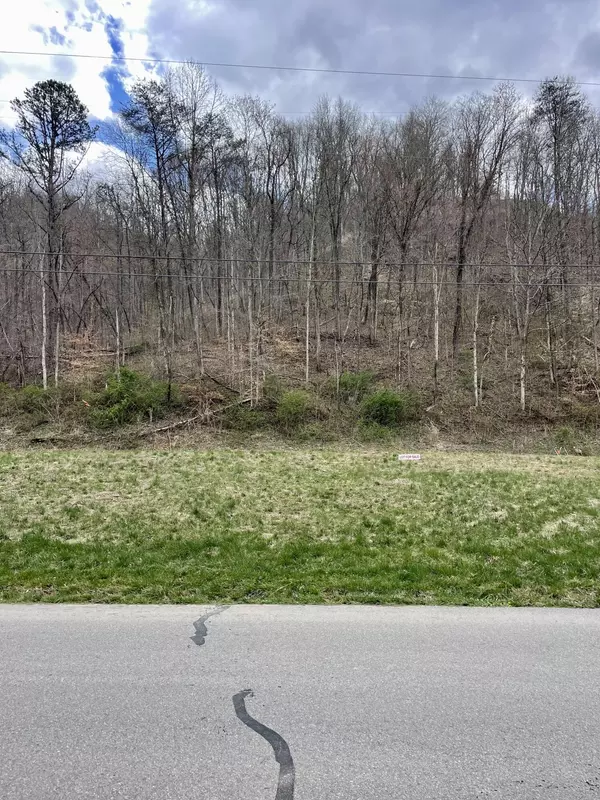 Pikeville, KY 41501,1847 Ratfliff Creek Road