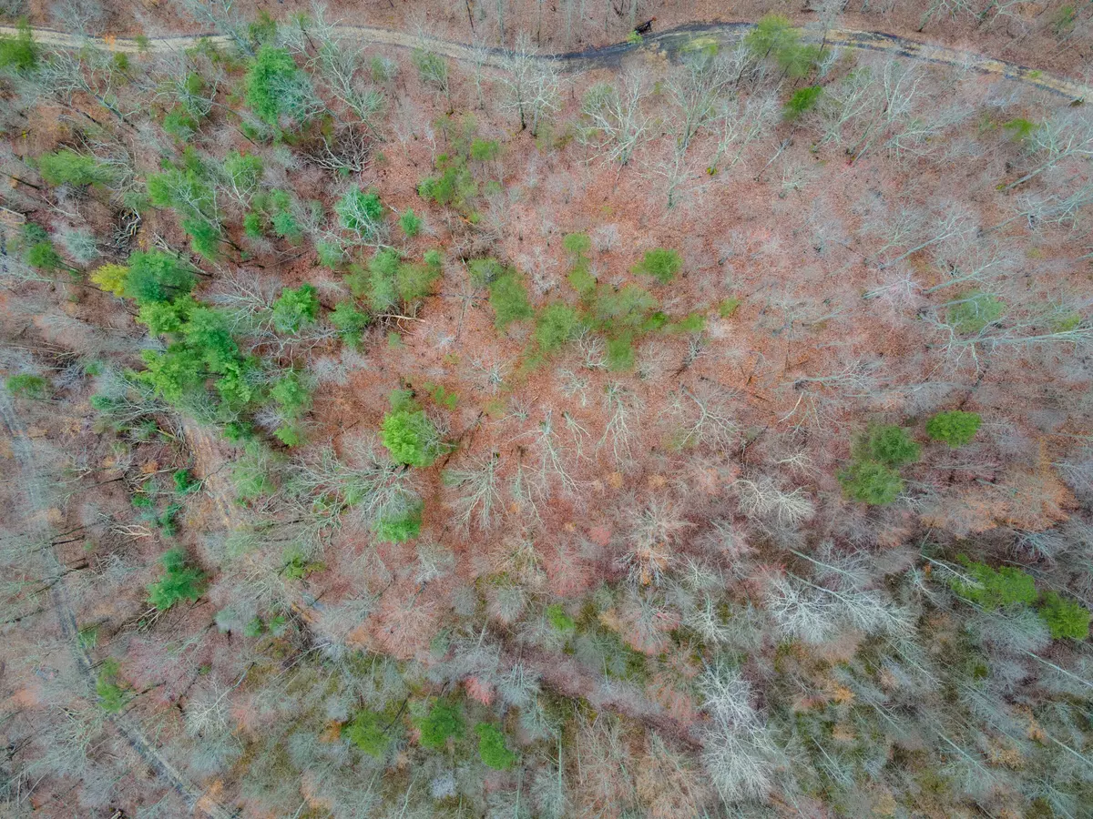 Stanton, KY 40380,1237M High Rock Road