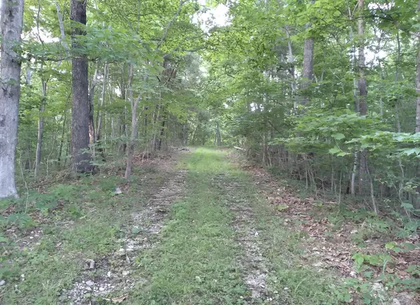 Stanton, KY 40380,1237M High Rock Road