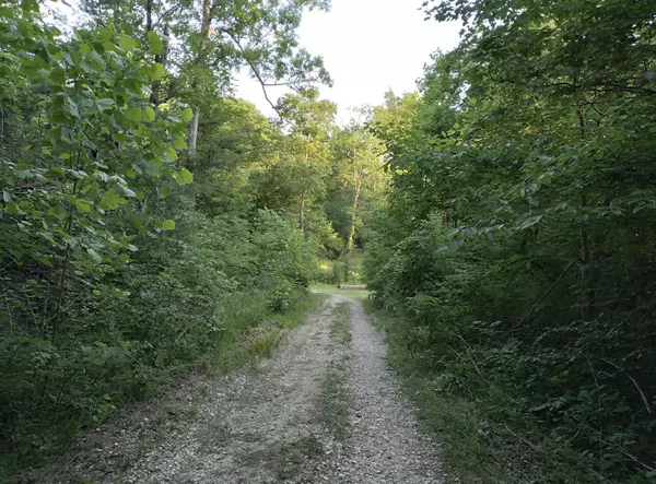 Stanton, KY 40380,1237M High Rock Road