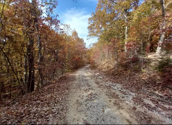 Stanton, KY 40380,1237L High Rock Road