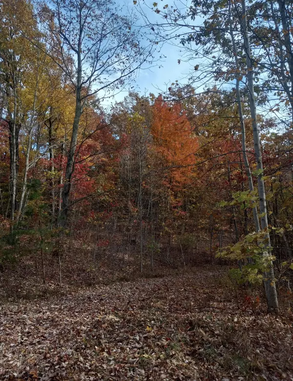 Stanton, KY 40380,1237J High Rock Road