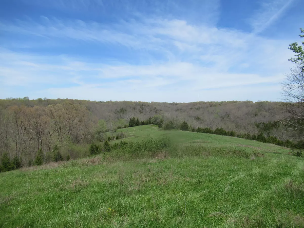 Lawrenceburg, KY 40342,0000 Briar Ridge Road