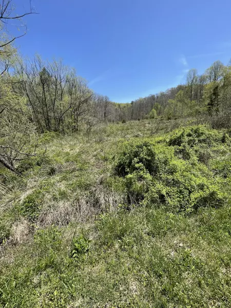 4A Walkers Branch Road, Sand Gap, KY 40481