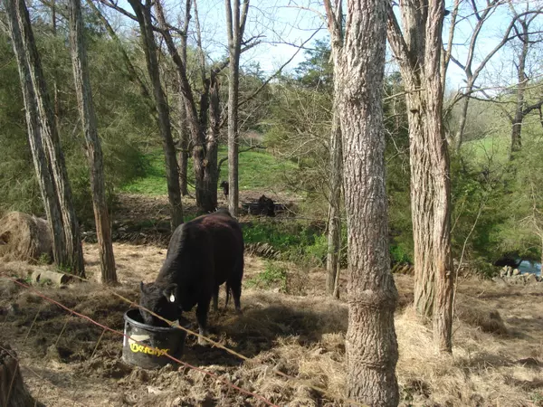 Berry, KY 41003,9999 Shawhan Road