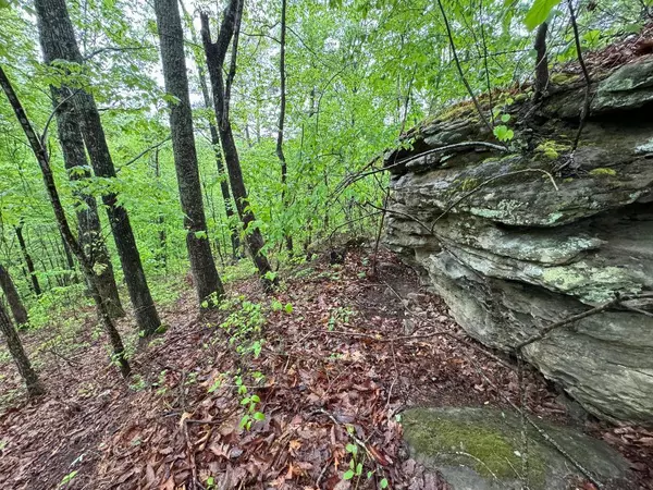 Irvine, KY 40336,0 Bobby Miller Road