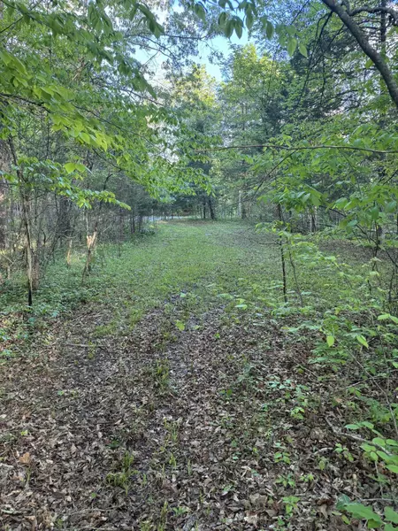 775 Valley View Drive, Burnside, KY 41519