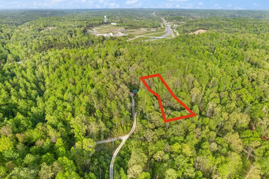 Lot #31 Black Bear Ridge Road, Campton, KY 41301