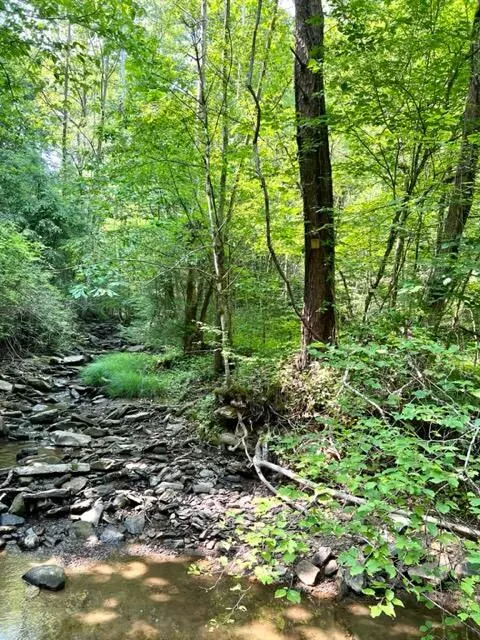 Beattyville, KY 41311,0 Coperas Cave Branch