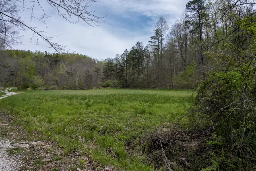 TBD Hammond Fork, Salyersville, KY 41465