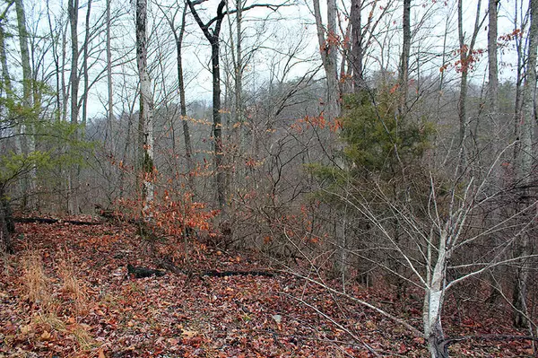 Monticello, KY 42633,Lot 76 Sandstone Point