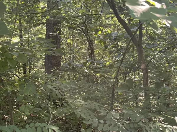 Monticello, KY 42633,Lot 22 Sandstone Point