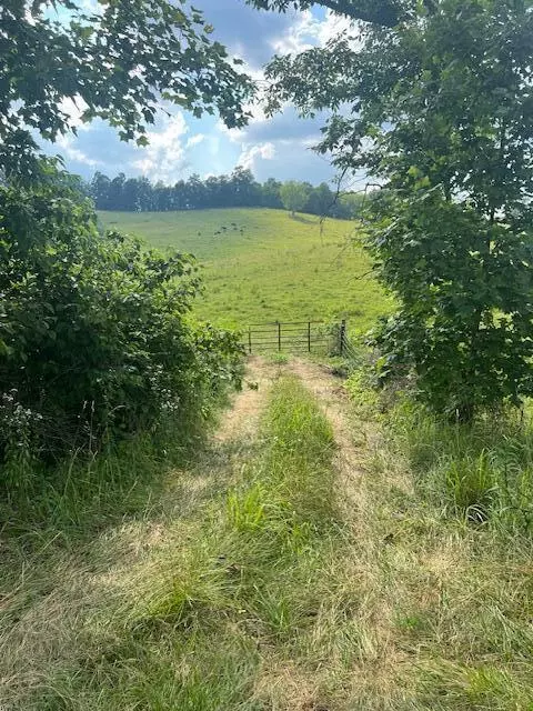 Wellington, KY 40387,2216 Highway 1569