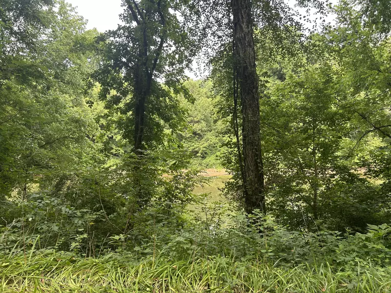 00 TBD River Road, Booneville, KY 41314