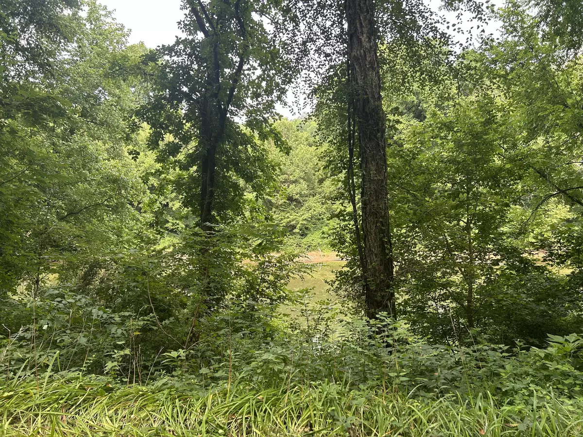 Booneville, KY 41314,00 TBD River Road