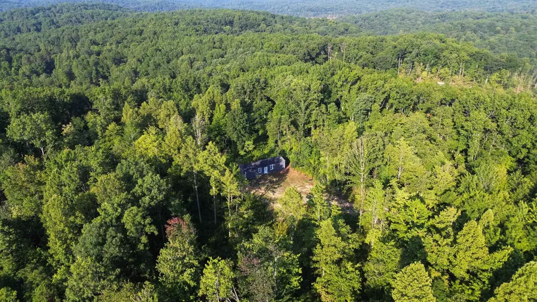 1835 Laurel Branch Road, East Bernstadt, KY 40729