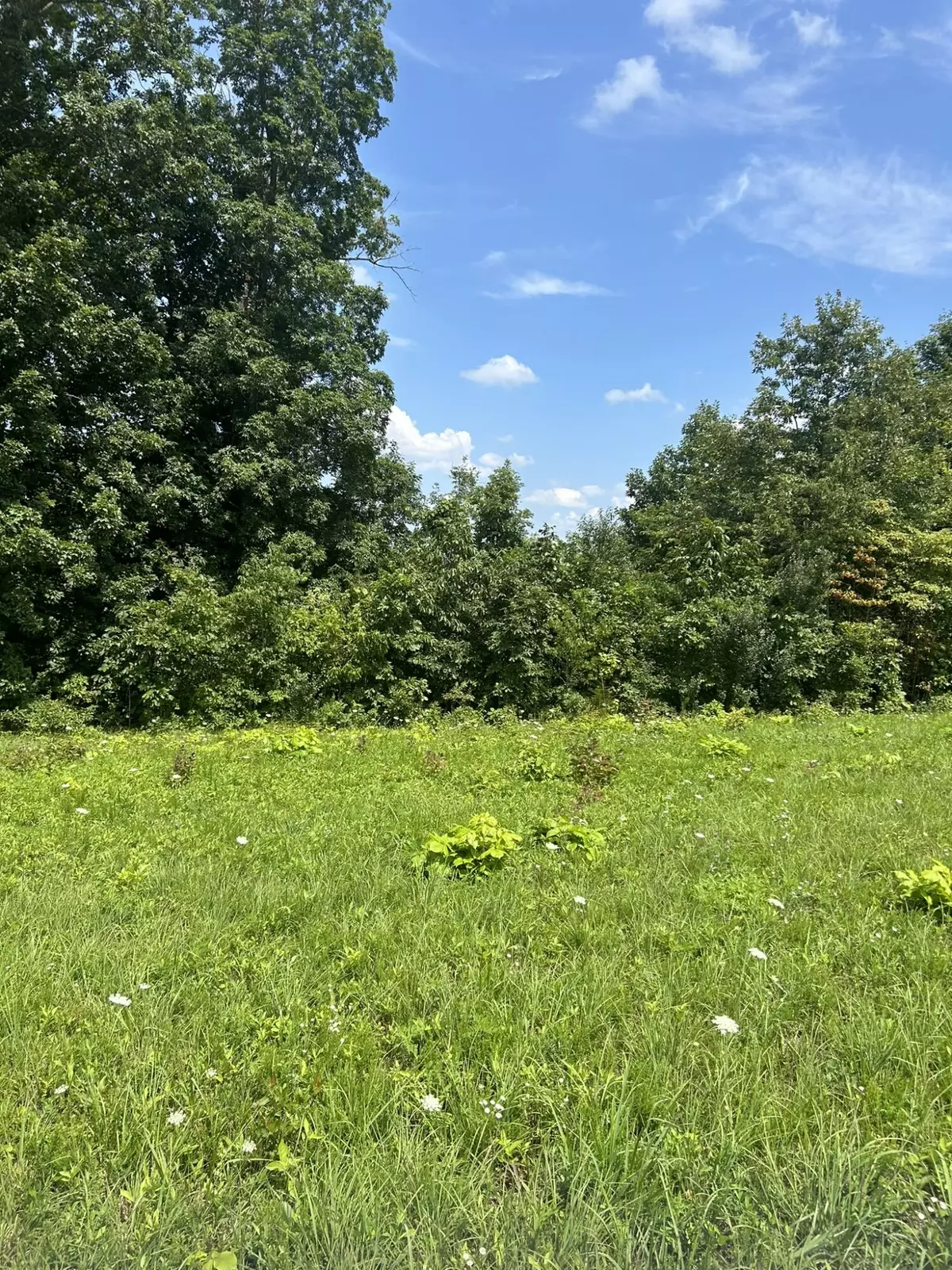 Nancy, KY 42544,Lot Serenity