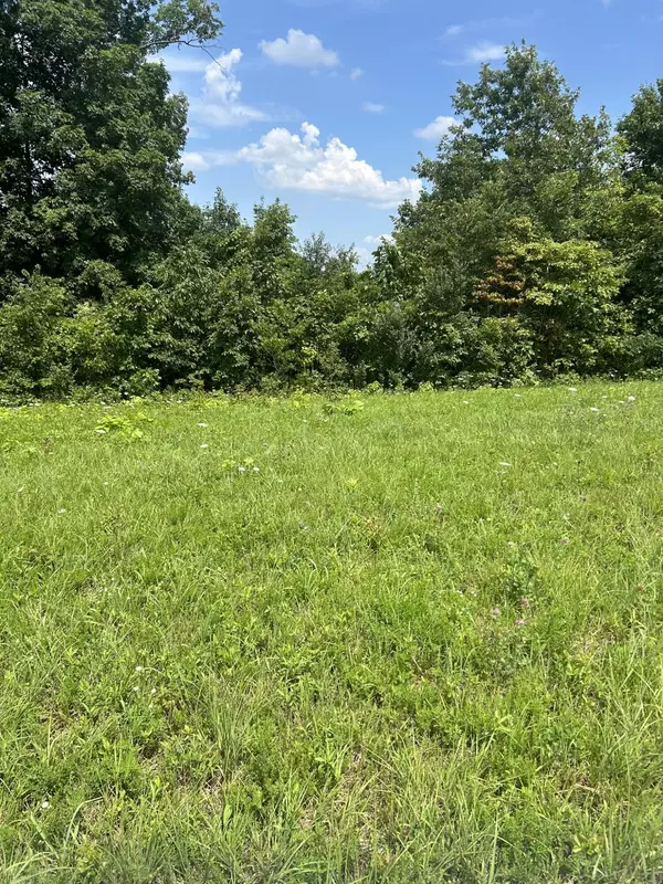 Nancy, KY 42544,Lot Serenity