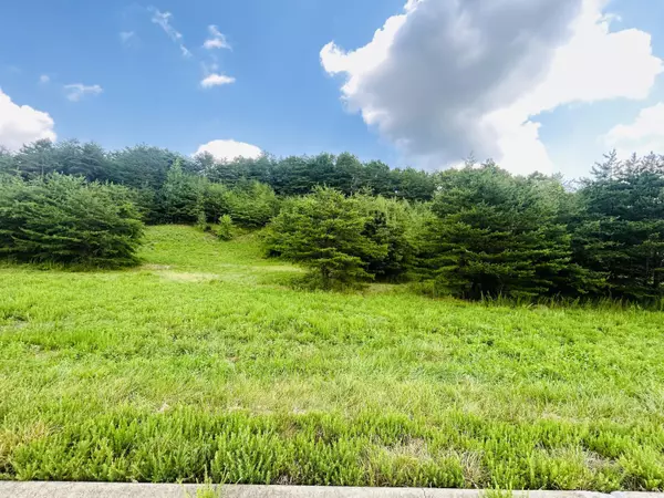 Corbin, KY 40701,LOT 20 Fawn Valley Estates