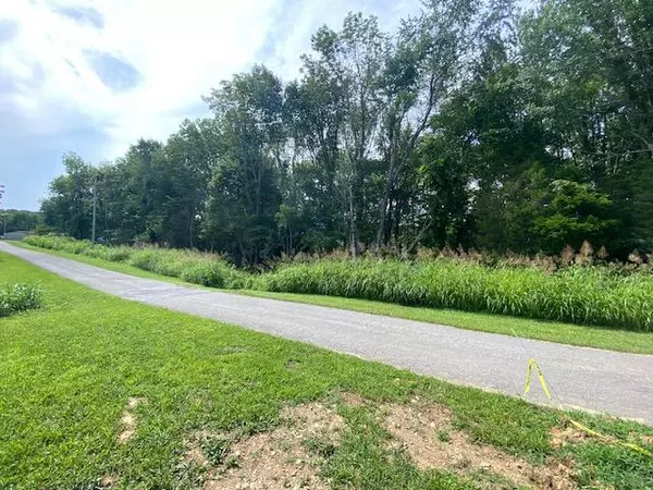 Science Hill, KY 42553,Lot 16-19 North Tanglewood Drive